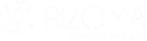 Rizoma
